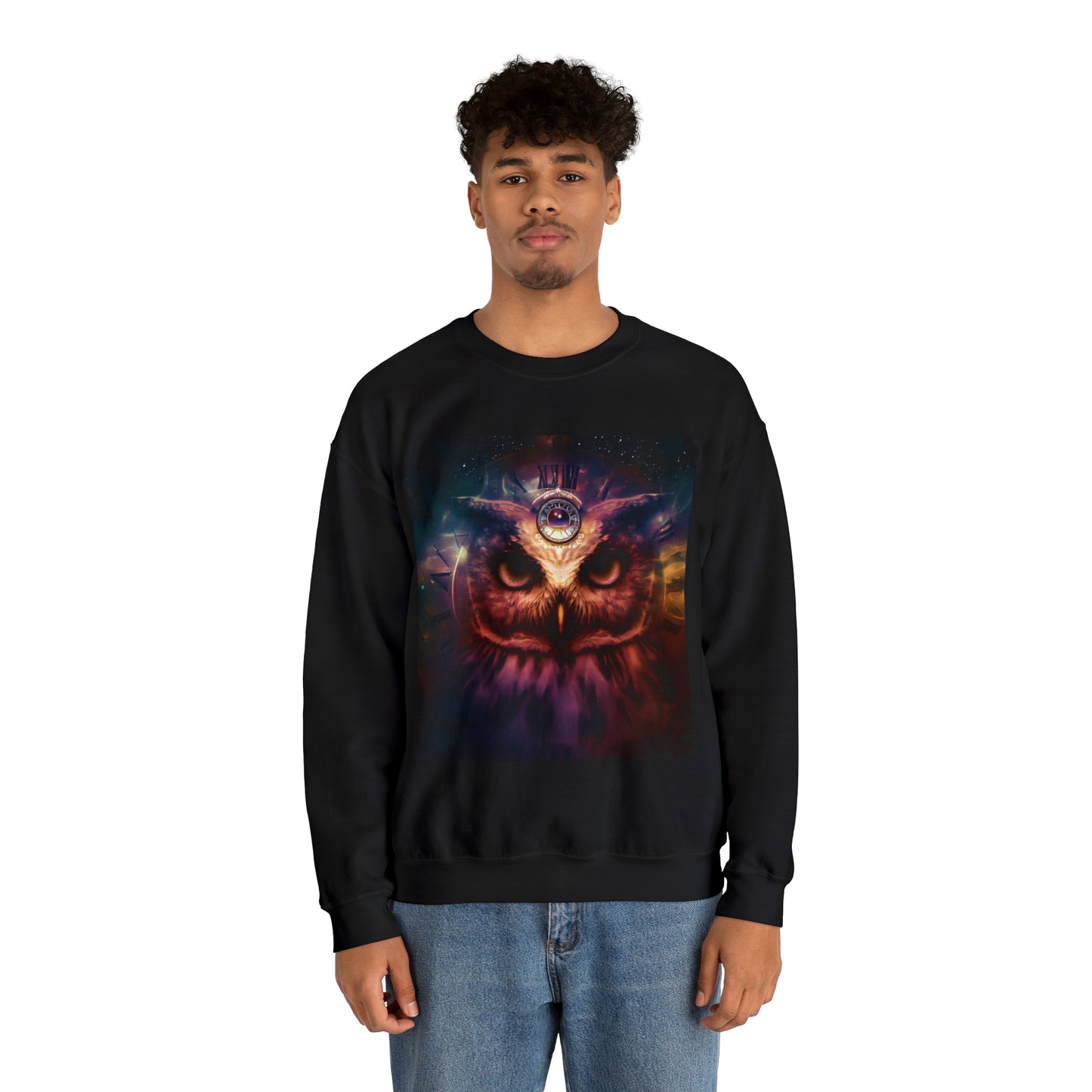 Night Owl Chronicles Sweatshirt | Unisex Sweatshirt for the Sleepless